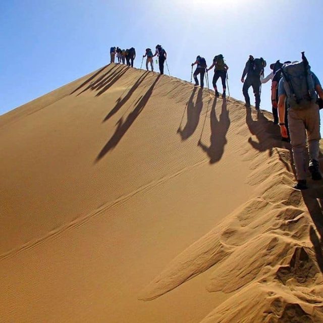 49238715858_7a53f6abbc_b